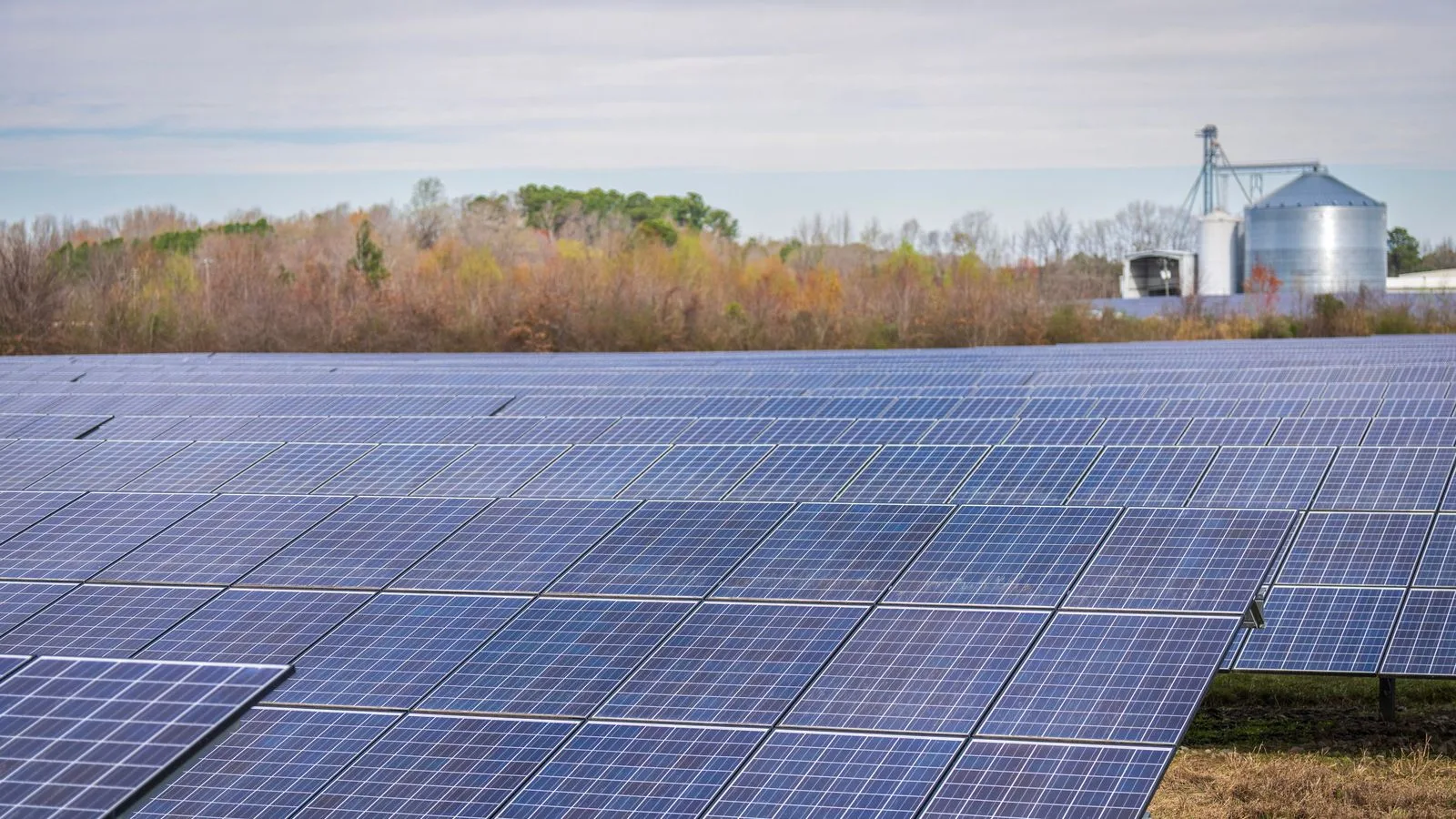 Large field of photovoltaic panels under a clear sky